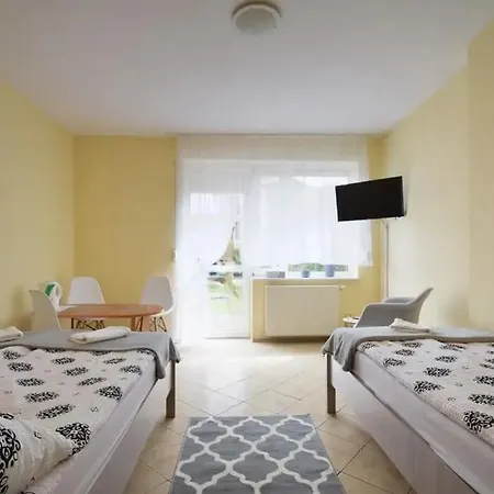 Azalia 30 Goscinne , Mielno Azaliowa 30