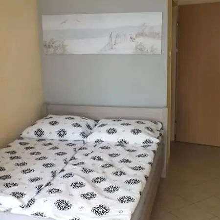 Guest house Azalia 30 Goscinne , Mielno Azaliowa 30 Mielno (Koszalin)